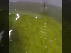 Online Optical Dissolved Oxygen Sensor Rs485 Oxygen Optical Sensor